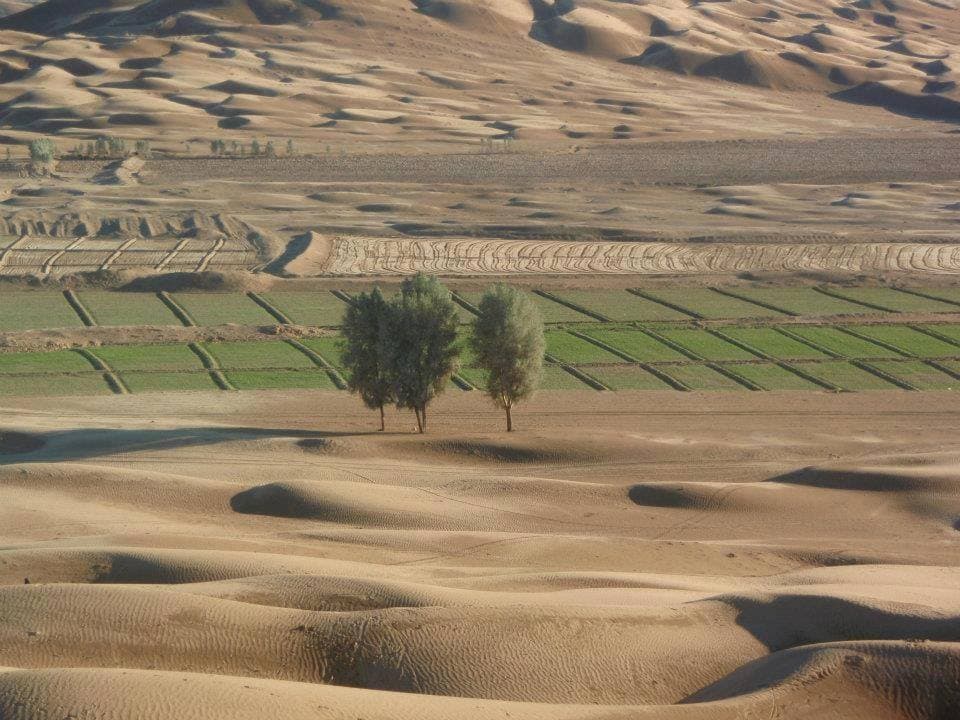 بلوچستان ۾ ڌماڪي ۽ سيڪيورٽي آپريشن کانپوءِ جاني نقصان